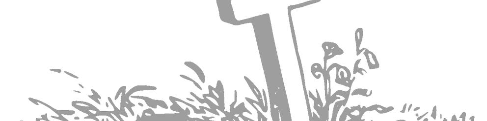 Reprise des concessions en état d'abandon